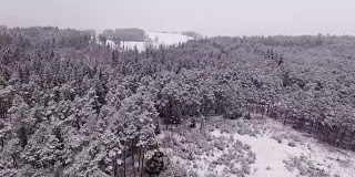 鸟瞰图:冬季巴伐利亚森林