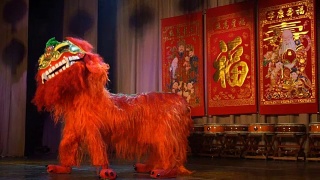 红狮舞在中国新年的节日视频素材模板下载