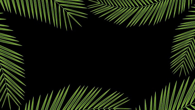 椰子树叶子透明框架移动的风循环和复制空间动画4K在黑色背景和alpha通道