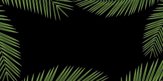 椰子树叶子透明框架移动的风循环和复制空间动画4K在黑色背景和alpha通道