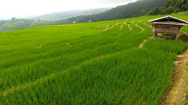 稻田梯田，山地农业用地。