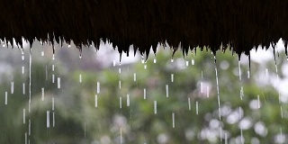 热带夏雨滴落在花园的稻草屋顶上。印尼巴厘岛
