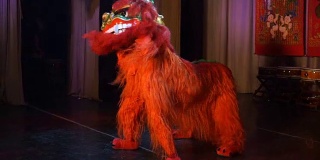 红狮舞在中国新年的节日