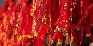 红旗在中国的鞭炮挂在树上，意味着财富，健康，最好的祝愿和好运