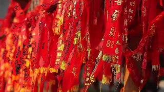 红旗在中国的鞭炮挂在树上，意味着财富，健康，最好的祝愿和好运视频素材模板下载