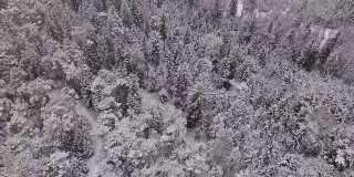 鸟瞰图:冬季巴伐利亚森林