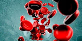 血细胞。
