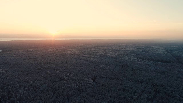 一大片冬季森林，太阳在地平线上落下。