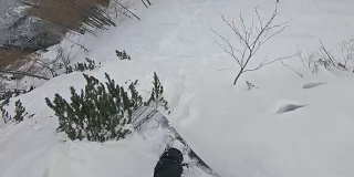 自由式滑雪板在雪道上滑行