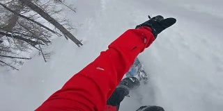在刚刚落下的雪上享受免费滑雪的乐趣