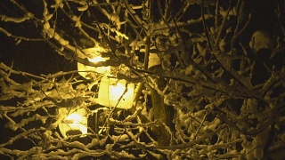 雪花落在街灯的背景上，慢动作视频素材模板下载