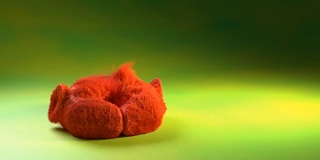 红色毛皮球在绿色背景动画中跳跃