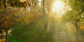 秋天公园的早晨