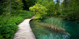 克罗地亚Plitvice湖的自然步道。