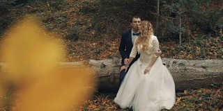 一对年轻美丽的新婚夫妇坐在倒下的树上。结婚的那一天。慢动作