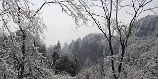张家界国家森林公园冬天