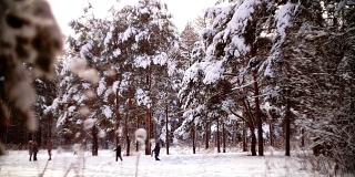 冬季森林里的空地和孩子们玩耍的景色。