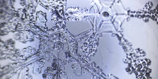 显微镜下双雪花晶枝的背景
