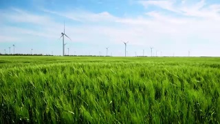 发电机组的风车在绿色的麦田里生产视频素材模板下载