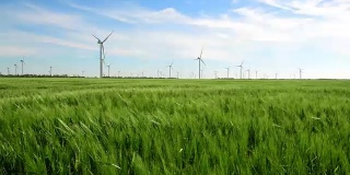 发电机组的风车在绿色的麦田里生产