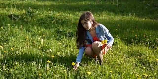 女孩在草地上采摘黄色的蒲公英。蒲公英。春季的一天。美丽的微笑少年在春天的公园与鲜花。视频拍摄运动相机与稳定器