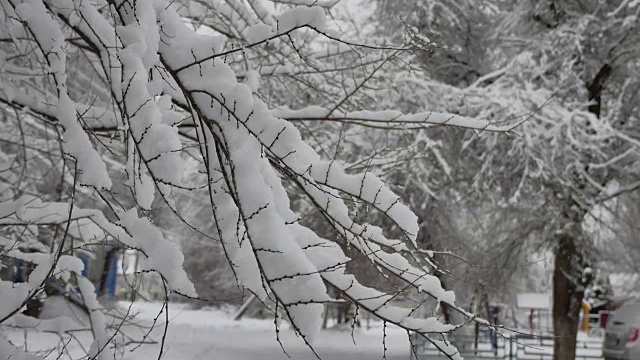 树枝上的人们走在雪地里的城市街道上，在冬天的室外