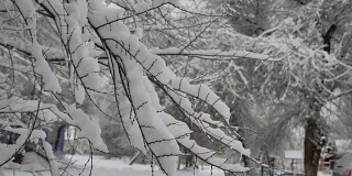 树枝上的人们走在雪地里的城市街道上，在冬天的室外