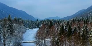 鸟瞰图:冬季奥地利森林