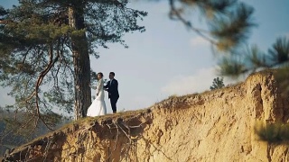 A young and beautiful wedding couple standing together on a slope of the mountain. Wedding day. Aerial shot视频素材模板下载