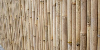 竹栅栏纹理特写。竹墙背景