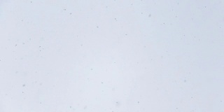 雪花在白色的天空中缓缓飘落