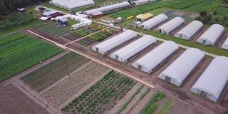 无人机拍摄到被农田包围的温室。夹。农村鸟瞰图。农场工人准备种植蔬菜、水果和香草。菜地及农业