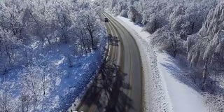 汽车在结冰的森林中行驶