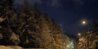 冬夜公园灯