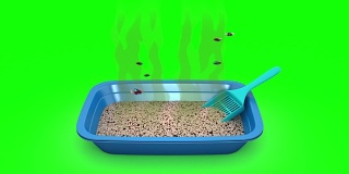 脏猫砂盆。3D动画。绿屏,loopable。
