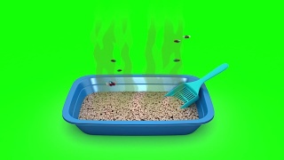 脏猫砂盆。3D动画。绿屏,loopable。视频素材模板下载