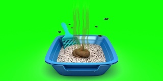 猫砂盒里的便便。3D动画。绿屏,loopable。