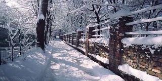 冬天的城市在早晨下雪，树上和灌木丛上都是雪。沿着小巷的石头栅栏被雪覆盖着。