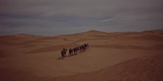 沙漠商队。骆驼