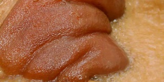 宽角度的红烧猪腿与汤在煮锅中放大闭合