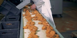 工人在生产线上整理甜饼干。在食品工厂的生产线上的甜面包。食品厂的面包房生产。食品生产