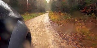 驾车穿过秋雨中的森林