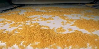 食品工厂的意大利面，通心粉生产线。