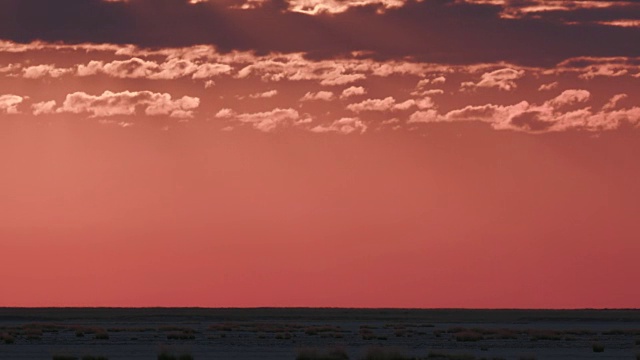 在博茨瓦纳的Makgadikgadi草原上，太阳在美丽的红色天空下缓缓升起