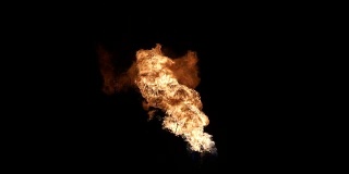 石油、天然气在夜晚的针叶林中燃烧。