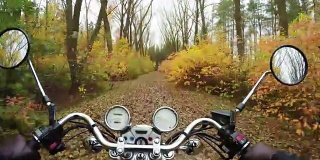 4 k编译视频。奇妙的摩托车骑在彩色森林的道路上，骑手的视野宽广。永远经典的巡洋舰/直升机!