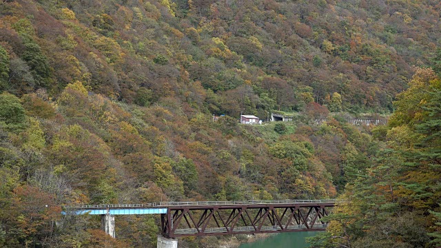 日本福岛大川坝湖和Aga河视点的红叶景观