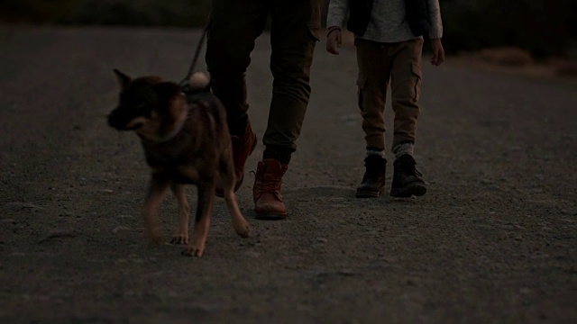 父子俩带着狗在乡村山路上远足
