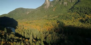 太平洋西北山区空中森林树木的秋天颜色