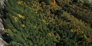 太平洋西北小山城秋季直升机飞行